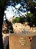 IMG_5686.jpg