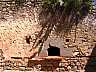 IMG_5916.jpg