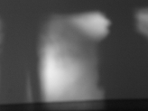 ombre_maeght_1.jpg